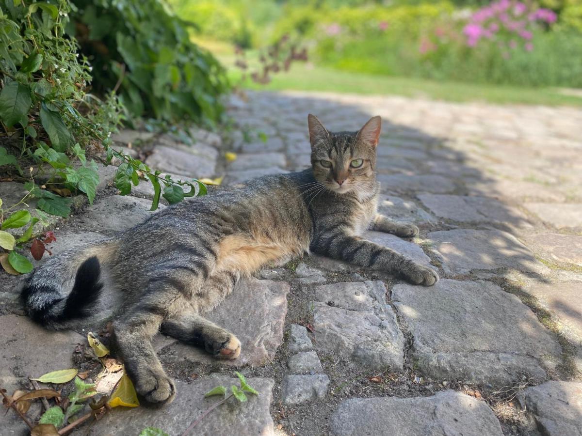 Au Jardin Des Deux Ponts Acomodação com café da manhã Abbeville Exterior foto