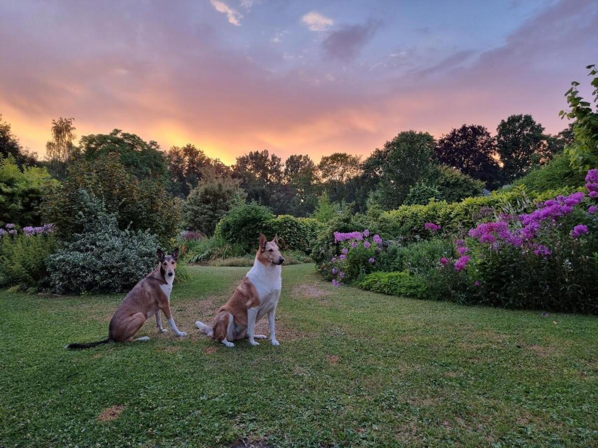 Au Jardin Des Deux Ponts Acomodação com café da manhã Abbeville Exterior foto